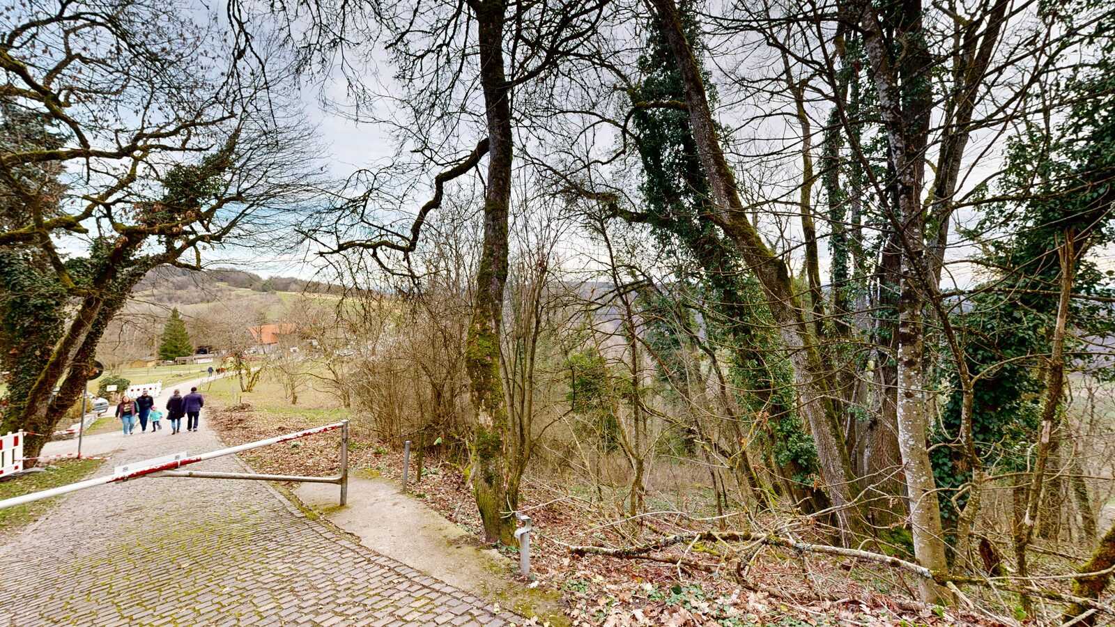 Küssaburg — Burgruine Küssaburg